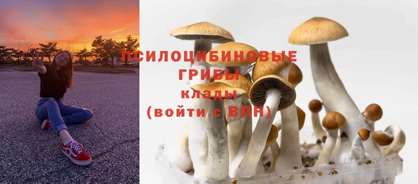 спиды Арсеньев
