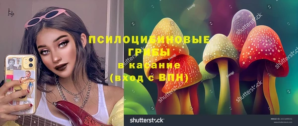 соль ск Аркадак