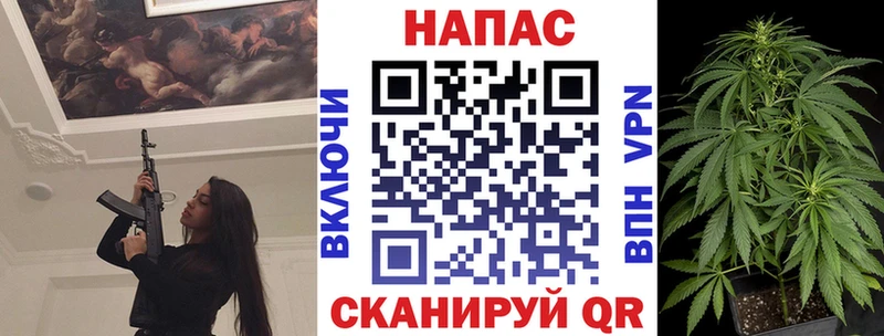 Конопля гибрид  где продают наркотики  mega ссылка  Калачинск 